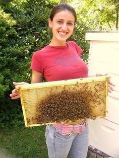 a woman holding up a beehive full of bees