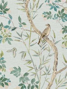 T42010 Claire Spa Blue Wallpaper Thibault Wallpaper Dining Room, Blue And Green Living Room Wallpaper, Thibaut Windsor Wallpaper, Thibaut Chatelain Wallpaper, Best Wallpaper For Dining Room, Thibeau Wallpaper, Wallpaper For Dining Room Accent Walls, Green Blue Bedroom, Thibaut Wallpaper Bathroom