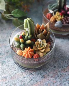 small succulents in glass bowls on a table