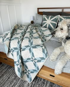 a white dog laying on top of a bed next to two pillows and a blanket