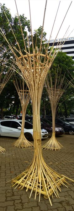 a group of trees made out of sticks on the ground in front of parked cars