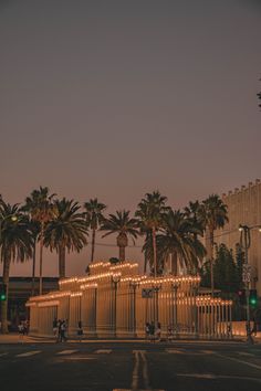 palm trees line the street in front of a building with lights hanging from it's sides