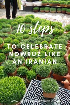 many potted plants with the words 10 steps to celebrate nowruz like anran