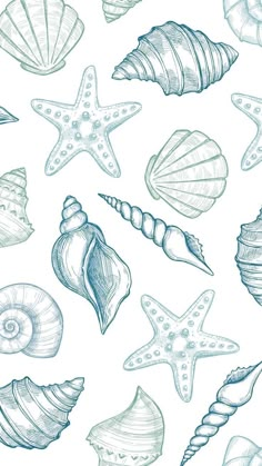 an image of seashells and starfish seamless background