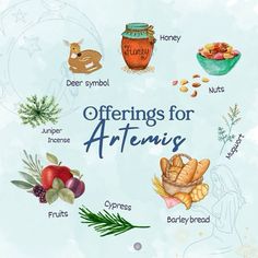 there are many different things in the picture and it says offerings for attenis