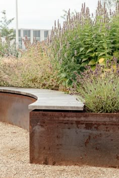 a bench sitting next to a garden filled with lots of purple flowers and greenery