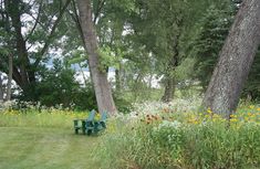 a green bench sitting in the middle of a lush green field next to tall trees