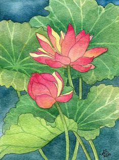 watercolor painting of two pink lotus flowers and green leaves