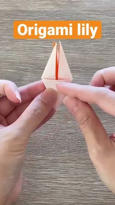 two hands holding an origami paper boat on top of a wooden table with the words origami lily above it