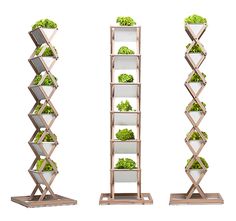 three wooden shelvings with plants in them on white background, side by side