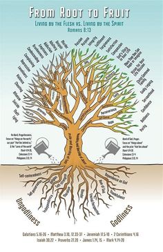 a tree with the roots labeled in different languages and numbers on it, as well as words that read from root to fruit