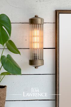 a light that is on the wall next to a potted plant and a mirror