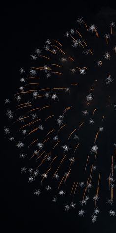 fireworks are lit up in the night sky