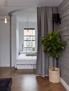 a bedroom with a bed and a plant on the wall in front of the window