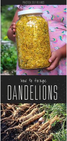 a girl holding a jar filled with dandelions and text overlay reads how to arrange dandelions