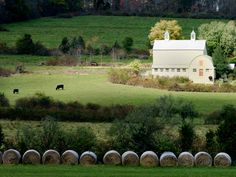 a farm with hay bales in the foreground and cows grazing on the other side