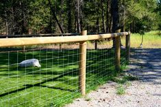 a fenced off area with a sheep in the grass