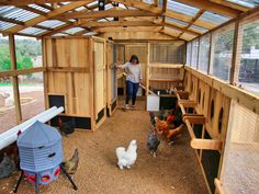 a woman standing in the doorway of a chicken coop