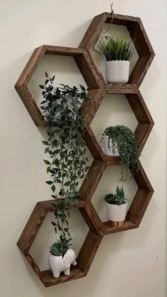 three wooden hexagonal shelves with plants on them