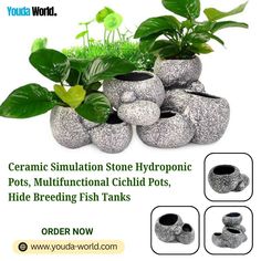 🐠🌿 Enhance Your Aquarium with Ceramic Simulation Stone Hydroponic Pots! 🌿🐠 Transform your underwater world with our Ceramic Simulation Stone Hydroponic Pots! These multifunctional cichlid pots are perfect for adding natural beauty, providing safe hideaways, and creating ideal breeding environments in your fish tank. 🏞️✨ Key Features: ◾️Natural Stone Look: Blends seamlessly into any aquarium setting, adding a touch of nature to your aquatic landscape. ◾️Cozy Hideouts: Perfect for cichlids an... Aquatic Landscape, Underwater World, Hydroponics, Fish Tank, Natural Stone, Natural Stones, Natural Beauty, Fish, Key