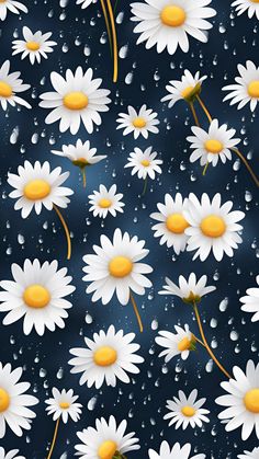 white daisies with yellow centers on a dark blue background seamless wallpaper pattern