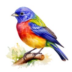 a colorful bird sitting on top of a wooden branch next to watercolor paint splotches