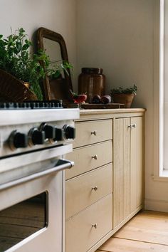 a kitchen with an oven, counter top and potted plants on the counters in front of it