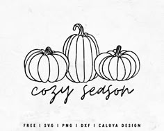 three pumpkins sitting next to each other with the words cozy season