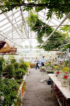 people walking through a greenhouse filled with lots of plants