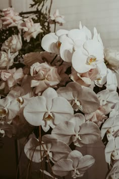 white and pink flowers are in a vase