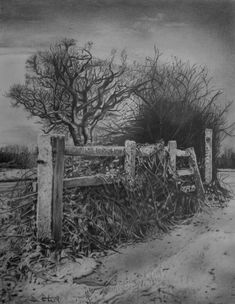 a black and white drawing of a fence with trees in the background on a snowy day