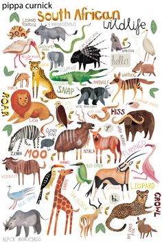 an animal poster with the words south african wildlife written in different languages and animals on it