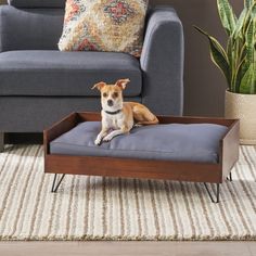 a dog laying on top of a pillow in a living room