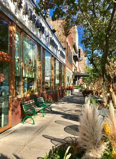 the sidewalk is lined with benches and plants