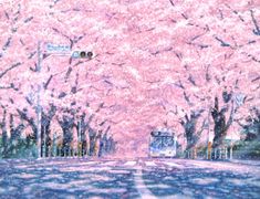 an image of a pink tree lined street