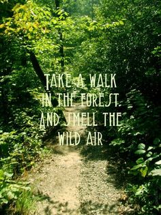 a path in the woods with a quote on it that says, take a walk in the forest and smell the wild air