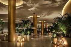 a large room filled with lots of potted plants next to tall pillars and lights