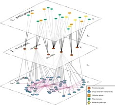 the network diagram shows several different types of connections, including one for each individual to connect with