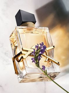 Dior Pure Poison, Ideas For Mother's Day, Perfume Photography, Perfume Floral, Feminine Fragrance, It Bag