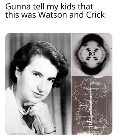 Science Memes Student, Chemistry Memes Humor, Rosalind Franklin, Lab Humor, Dna Memes Funny, Dna Molecule