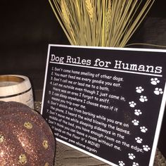 a dog rules for humans sign next to a pumpkin with paw prints on the front