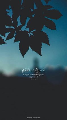 the silhouette of leaves against a blue sky with arabic writing in english and arabic on it