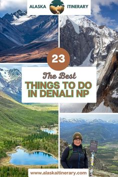 the best things to do in denalip, alaska with text overlaying it