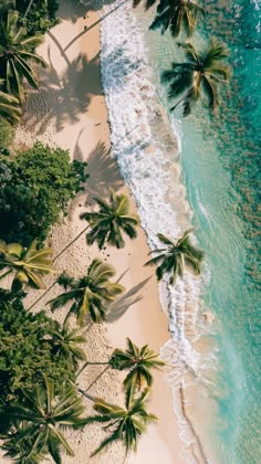 an aerial view of palm trees and the ocean on a tropical island with white sand