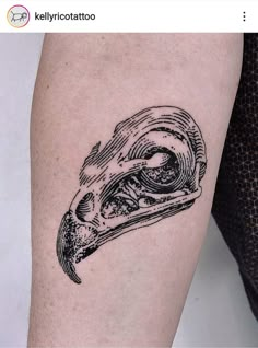 a bird's head tattoo on the arm