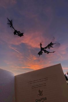 Dragons, sunset sky, book - fourth wing Skull Pizza, Zestaw Ikon, Book Wallpaper, Dragon Wings