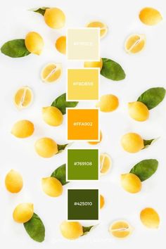 lemons with green leaves on them and the colors in each section are different shades