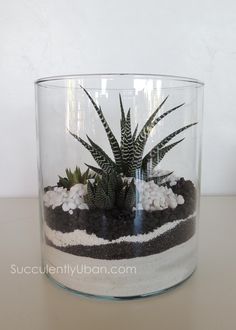 there is a plant in the glass vase on the table with rocks and gravel inside