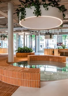 an office building with plants growing on the ceiling and round planters in the center