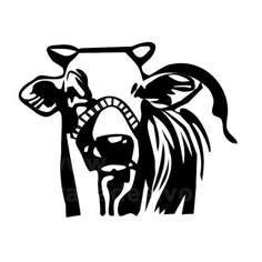 the head of a cow in black and white with long horns on it's face